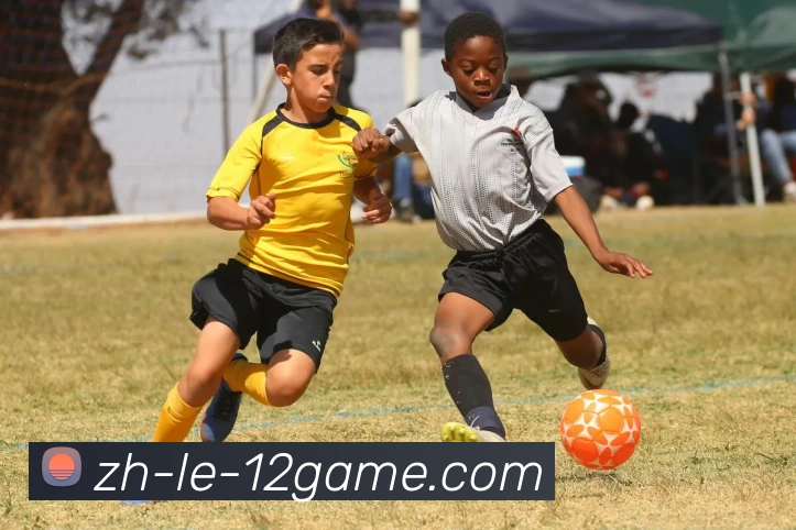 12博官网平台生态图